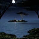 Moonlight Daum카페