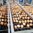 축산물시장(3) 이미지