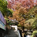 1. 관악산 관음사~마당바위~연주대~육봉능선 (상. 관음사~연주암구간)