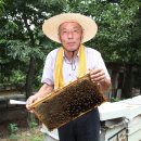 숲사랑농원
