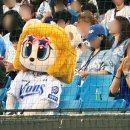 엔씨다이노스 | 260604 삼성라이온즈 vs 엔씨다이노스 익사이팅석 패요 후기