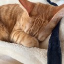 방배중앙로21길 7 이미지