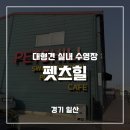 [일산 펫츠힐] 강아지 수영장 ,대형견 가능 실내 수영장 다녀온 후기 | 내돈내산