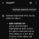 볶덮밥 이미지