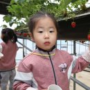 명호농장 이미지