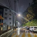 중화가정 조선대학교점 | 주간일기 11 - 11월 3주차