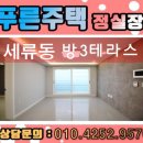 테라스203 이미지