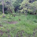 석주농장 이미지