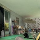 가평남이섬피그드림스파펜션 이미지