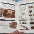 백제기와문화관 티스토리