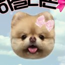하늘리본 이미지
