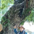 &#34;홍하사의 잡다한 이야기&#34;---(1464) &#34;인생 이야기&#34;---(389) (아름다운 인생), (주요 유투브 9/22일 &amp; 망국가) 이미지