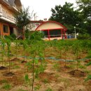 좋은아침팬션 이미지