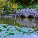 중앙공원 이미지