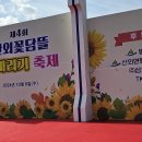 해바라기 축제 이미지