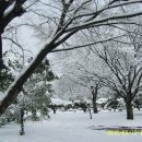 황성공원 이미지