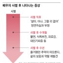 집사람 귀국후 이야기 + 신문에 나온 홀로서기 관련 기사 이미지