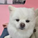 프리브스튜디오