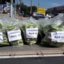 도장리경로당 티스토리