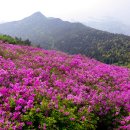 남해-116 이미지