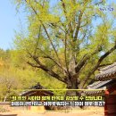 향교로 2 이미지