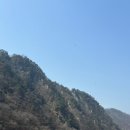 함가네세탁소 네이버블로그