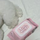 우리들의 반려생활 강아지 물티슈 후기