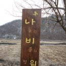 (주)나비원 이미지