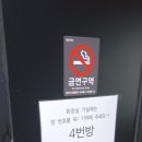 핑거리나