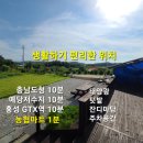 홍성 좋은입지/ 태양광,작은텃밭,잔디마당,창고,주차장,정남향 2억2000만원 이미지