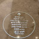카페인루 | 차백도 망고 포멜로 사고 양쯔간루 내돈내산 후기 차백도 코엑스 가는법 자세히