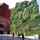 자연의 둥지 이미지