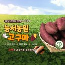 소취연 | 문장을 관장하는 별이 알아본 이규보, 여주 문학의 전설이 되다