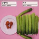 복희점핑다이어트