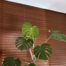 맑은하늘정형외과의원 이미지