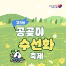 공곶이 | 거제 공곶이 수선화 축제 경남 3월 꽃구경 명소