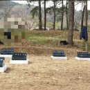 대구장의사