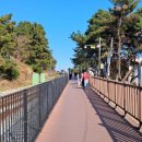 그린레일웨이 이미지