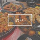제주시 용담 어향가지 군만두 도민맛집 임성교자