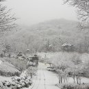 석모도 자연휴양림 이미지