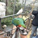 경주버드파크 이미지