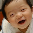 요녀석 이미지