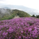 5월 3일 일요일 남해 망운산(786m) 철쭉 산행 이미지