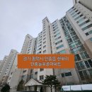 안중늘푸른 이미지