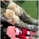 스카이패러 이미지