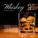 [덕계] 이벤트소품 풍선아트 | 세종 시그니처가든 돌잔치후기 뷔페 돌상 포토존 솔직리뷰