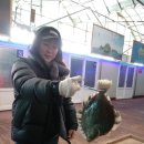 노지하우스 이미지