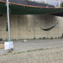 도동민박 | 욕지도에서 스노클링하기 _ 흰작살해변, 유동해변, 도동해변