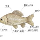 아이누리유치원 - 포항시 남구 | 아이누리유치원