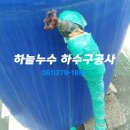 서부초등학교 정문 이미지